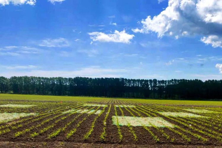 征地补偿标准太低了怎么办？